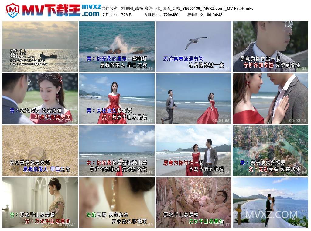 刘和刚_战扬-陪你一生_国语_合唱_YE600139